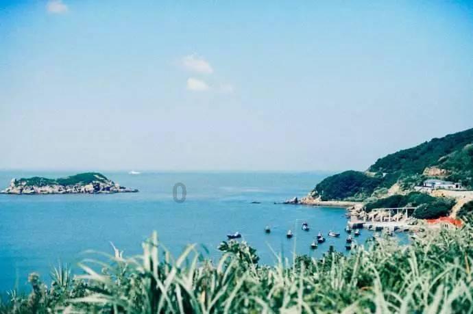 小汪汪