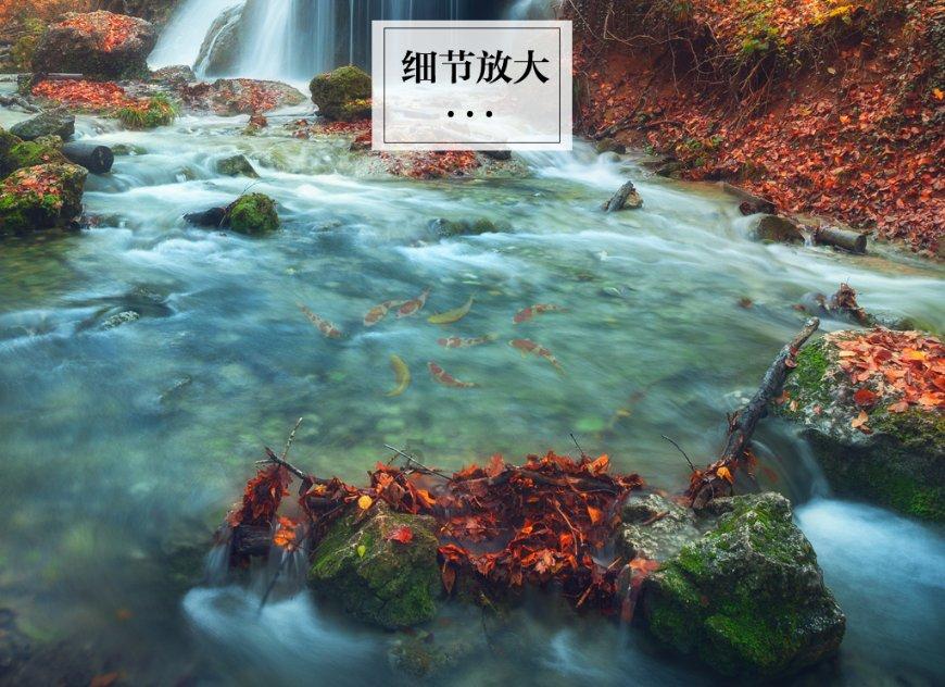 聚焦“一老一小一新”，共绘“朝夕美好”画卷！苏州工业园区娄葑街道开展暖心便民系列活动