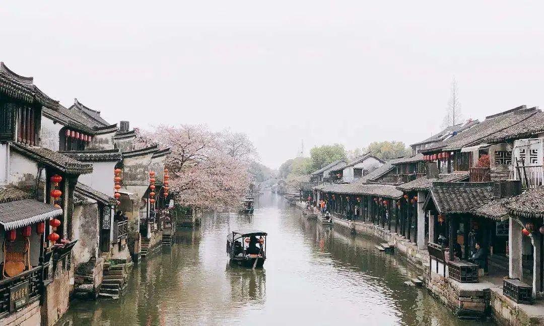拯救机灵鸟